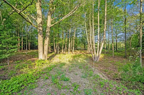 Vacant 168th, Spring Lake, MI 49456