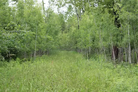 0 Vl Napper Rd, Update, MI 49744 photo 13