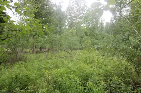 0 Vl Napper Rd, Update, MI 49744 photo 23