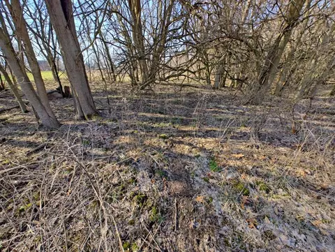 Vl 24 Mile Rd, Marshall, MI 49068 photo 34