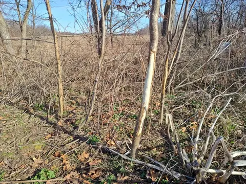 Vl 24 Mile Rd, Marshall, MI 49068 photo 12