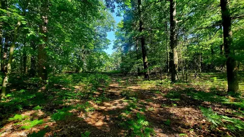 4416 N N Pne, Mears, MI 49436