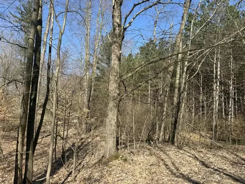 Tbd 230th, Big Rapids, MI 49307 photo 33