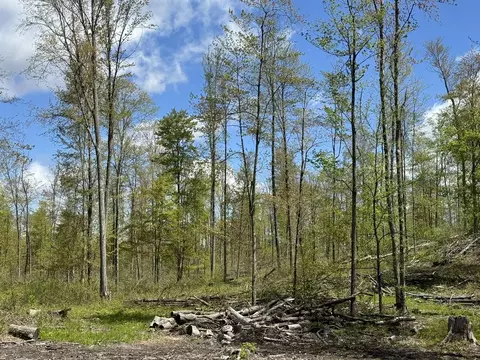 Tbd 230th, Big Rapids, MI 49307 photo 5