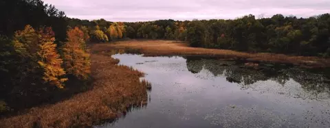 12651 N Tbd N Sherman, Richland, MI 49083