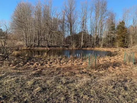 N 13 Mile Road, Bear Lake, MI 49614