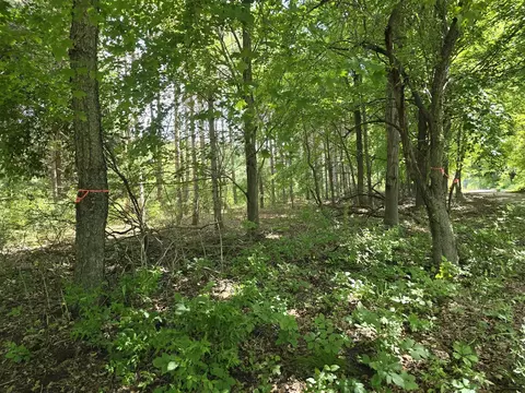 00 Hoover # -2, Barryton, MI 49305
