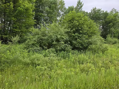 0 Lake, Barryton, MI 49305