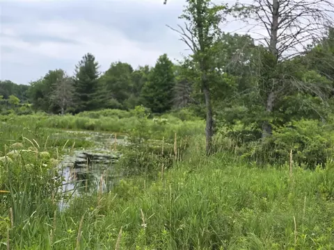 00 Lake # -2, Barryton, MI 49305