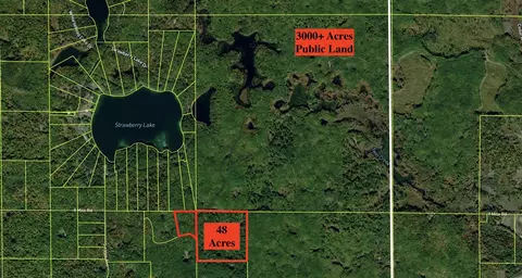 12983 Yellow Gate, Evart, MI 49631