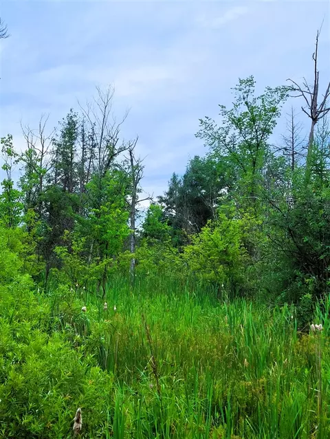 Vl Flat River, Belding, MI 48809 photo 18