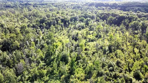 Vl Flat River, Belding, MI 48809 photo 6