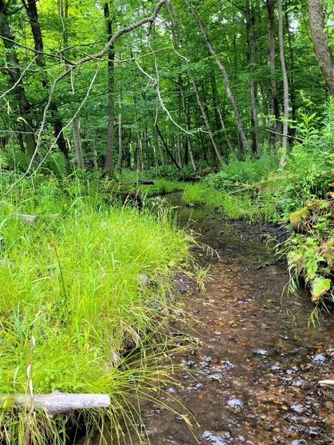 Vl Flat River, Belding, MI 48809 photo 13