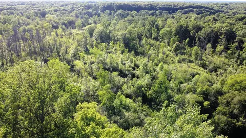 Vl Flat River, Belding, MI 48809 photo 5