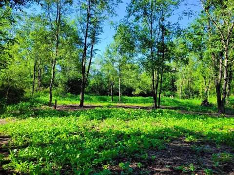 Vl Flat River, Belding, MI 48809 photo 27