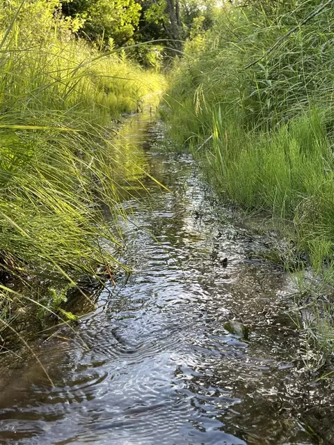 Vl Flat River, Belding, MI 48809 photo 14