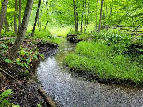 Vl Flat River, Belding, MI 48809 photo 12