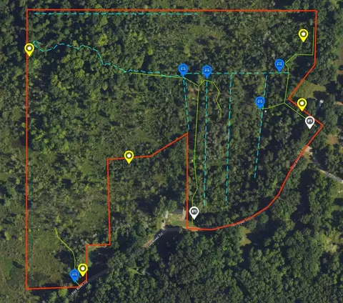 Vl Flat River, Belding, MI 48809 photo 3