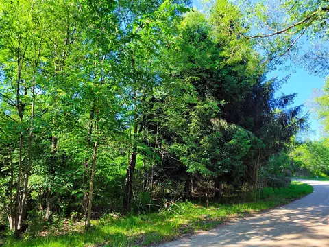Vl Flat River, Belding, MI 48809 photo 7