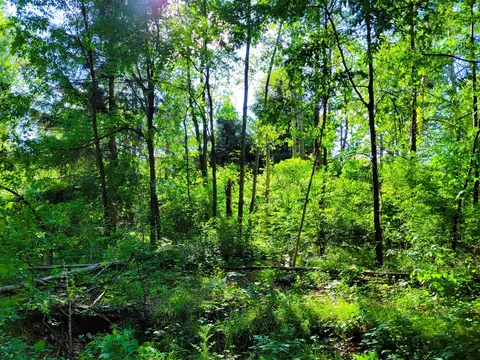 Vl Flat River, Belding, MI 48809 photo 19