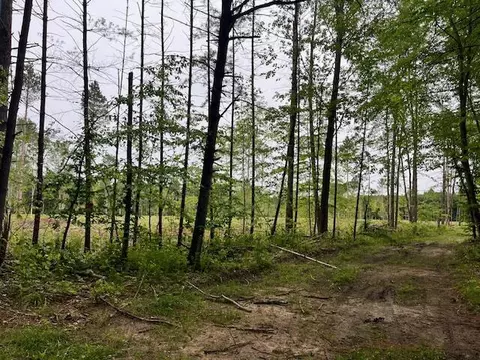 20 Acres Hindman Rd, Brethren, MI 49619 photo 6