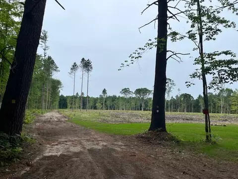 20 Acres Hindman Rd, Brethren, MI 49619 photo 2