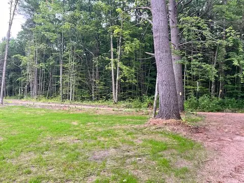 20 Acres Hindman Rd, Brethren, MI 49619 photo 8