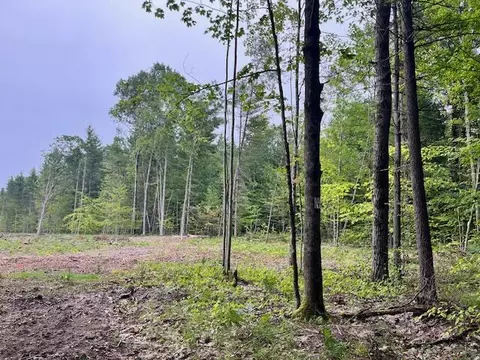 20 Acres Hindman Rd, Brethren, MI 49619 photo 4