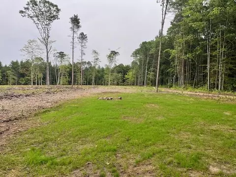 20 Acres Hindman Rd, Brethren, MI 49619 photo 7