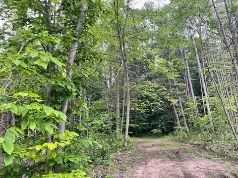 20 Acres Hindman Rd, Brethren, MI 49619 photo 5