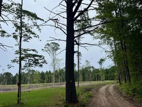 20 Acres Hindman Rd, Brethren, MI 49619 photo 3