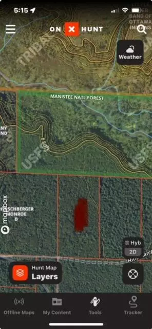 20 Acres Hindman Rd, Brethren, MI 49619