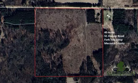 Vl Hoover Road, Barryton, MI 49305
