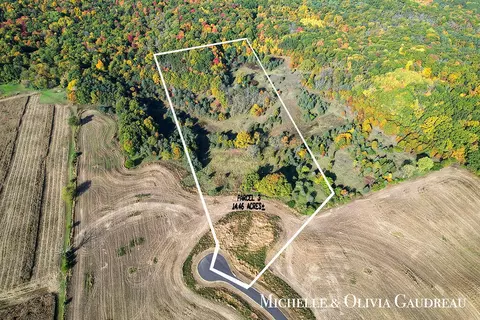 VL Gibson Farms #PARCEL 3, Middleville, MI 49333