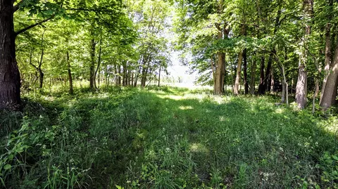 Vl Block Rd, Coldwater, MI 49036 photo 28