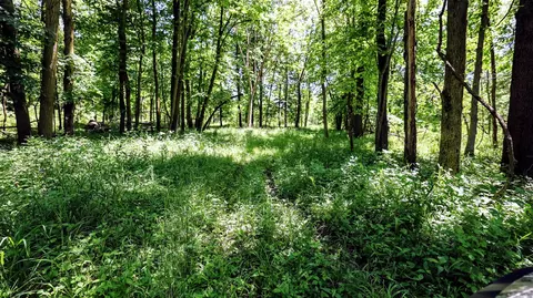 Vl Block Rd, Coldwater, MI 49036 photo 32