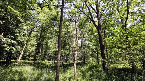 Vl Block Rd, Coldwater, MI 49036 photo 20