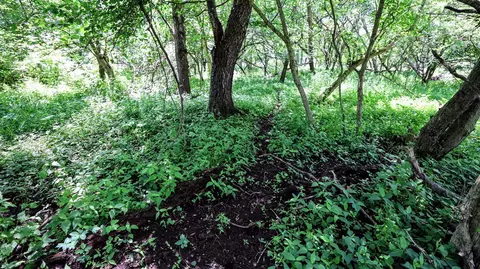 Vl Block Rd, Coldwater, MI 49036 photo 15