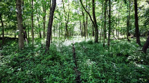 Vl Block Rd, Coldwater, MI 49036 photo 50