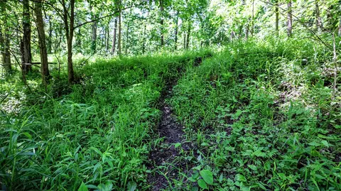 Vl Block Rd, Coldwater, MI 49036 photo 46