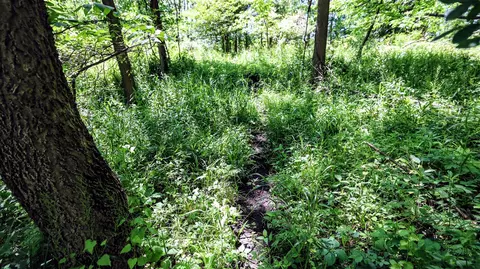 Vl Block Rd, Coldwater, MI 49036 photo 43