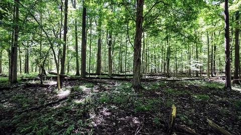 Vl Block Rd, Coldwater, MI 49036 photo 16