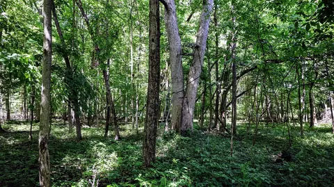 Vl Block Rd, Coldwater, MI 49036 photo 60