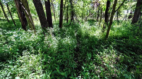 Vl Block Rd, Coldwater, MI 49036 photo 34