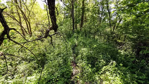 Vl Block Rd, Coldwater, MI 49036 photo 62