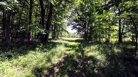 Vl Block Rd, Coldwater, MI 49036 photo 27