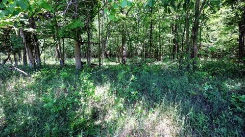 Vl Block Rd, Coldwater, MI 49036 photo 30