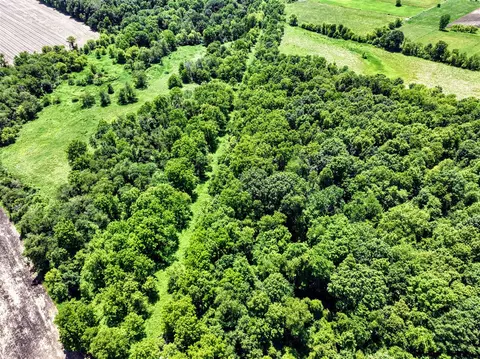 Vl Block Rd, Coldwater, MI 49036 photo 49
