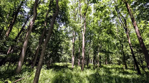 Vl Block Rd, Coldwater, MI 49036 photo 44
