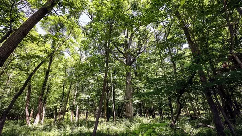 Vl Block Rd, Coldwater, MI 49036 photo 2